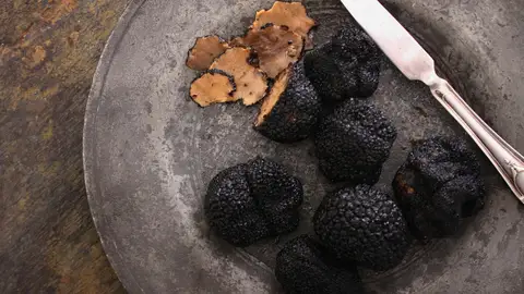 Trufa negra Trufa negra