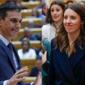 PSOE y Podemos no llegan a un acuerdo para reformar la ley del 'sólo sí es sí'