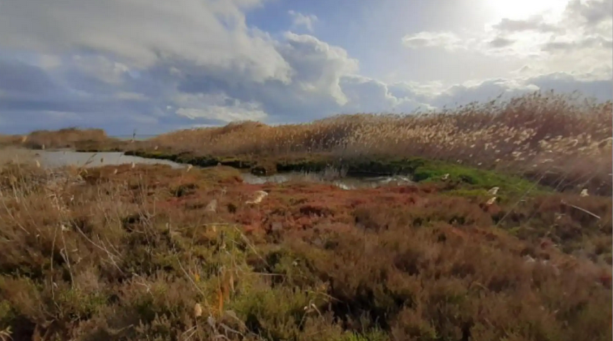 Cartagena acapara casi cuatro de cada 10 euros que el Ministerio destina para actuar en la recuperación del Mar Menor Cartagena acapara casi cuatro de cada 10 euros que el Ministerio destina para actuar en la recuperación del Mar Menor