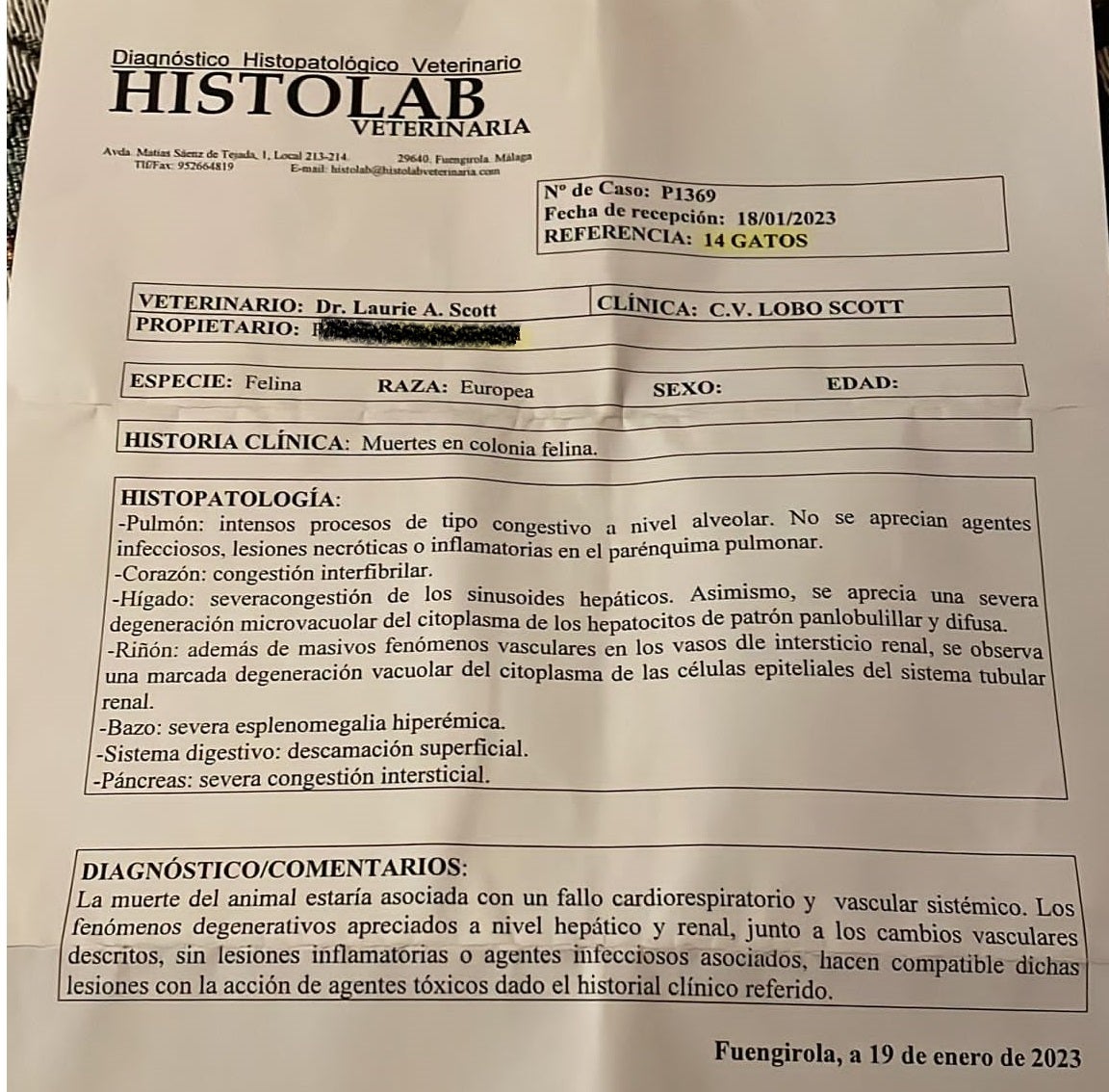 14 gatos y un ave protegida mueren envenenados en un pueblo soriano de 25 habitantes 14 gatos y un ave protegida mueren envenenados en un pueblo soriano de 25 habitantes