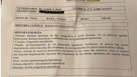 Informe de la autopsia realizada a los 14 gatos fallecidos en Alcoba de la Torre