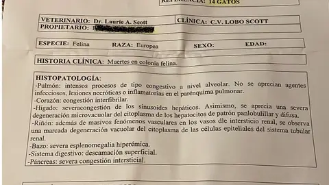Informe de la autopsia realizada a los 14 gatos fallecidos en Alcoba de la Torre Informe de la autopsia realizada a los 14 gatos fallecidos en Alcoba de la Torre