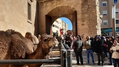 Mas de uno Vega Baja con Pedro Joaquín Llorach estuvo en la inauguración del mercado medieval medieval