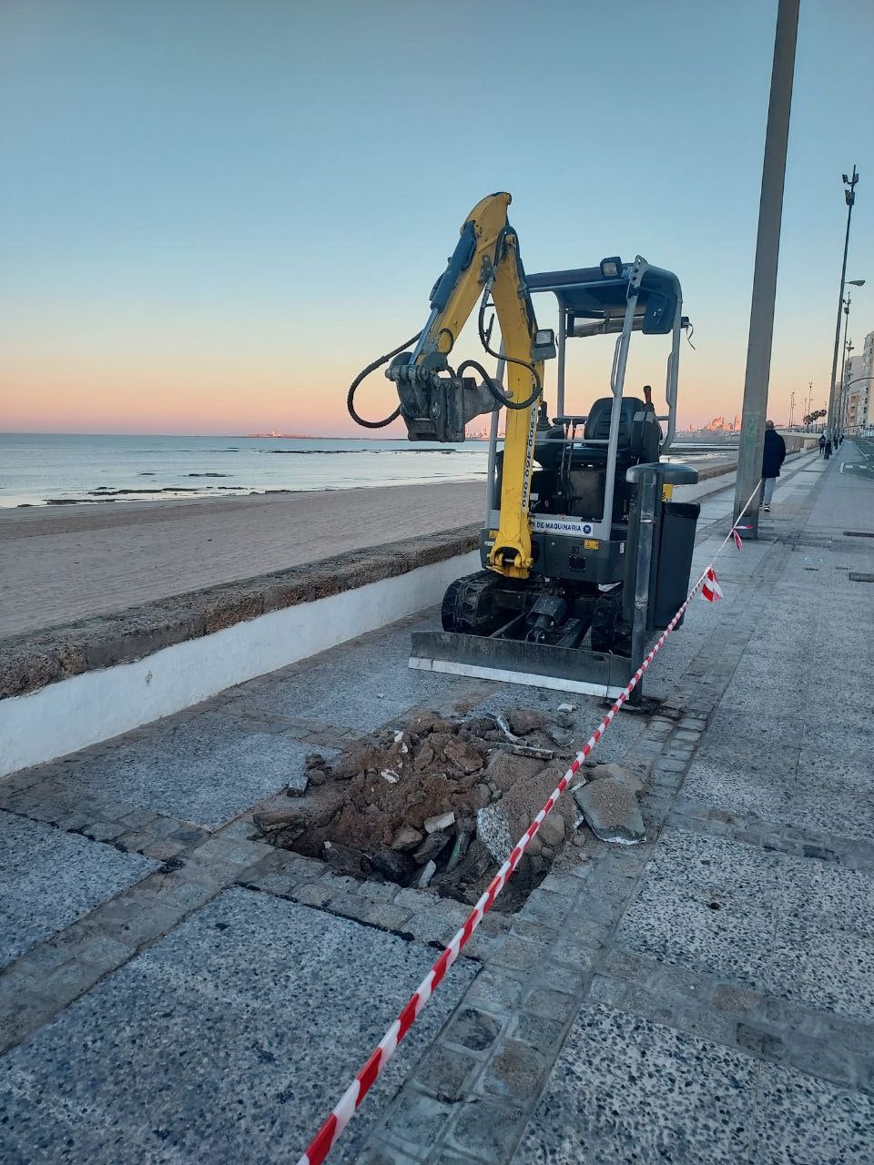 El Ayuntamiento de Cádiz quiere ampliar el arbolado de la ciudad en casi doscientos ejemplares El Ayuntamiento de Cádiz quiere ampliar el arbolado de la ciudad en casi doscientos ejemplares