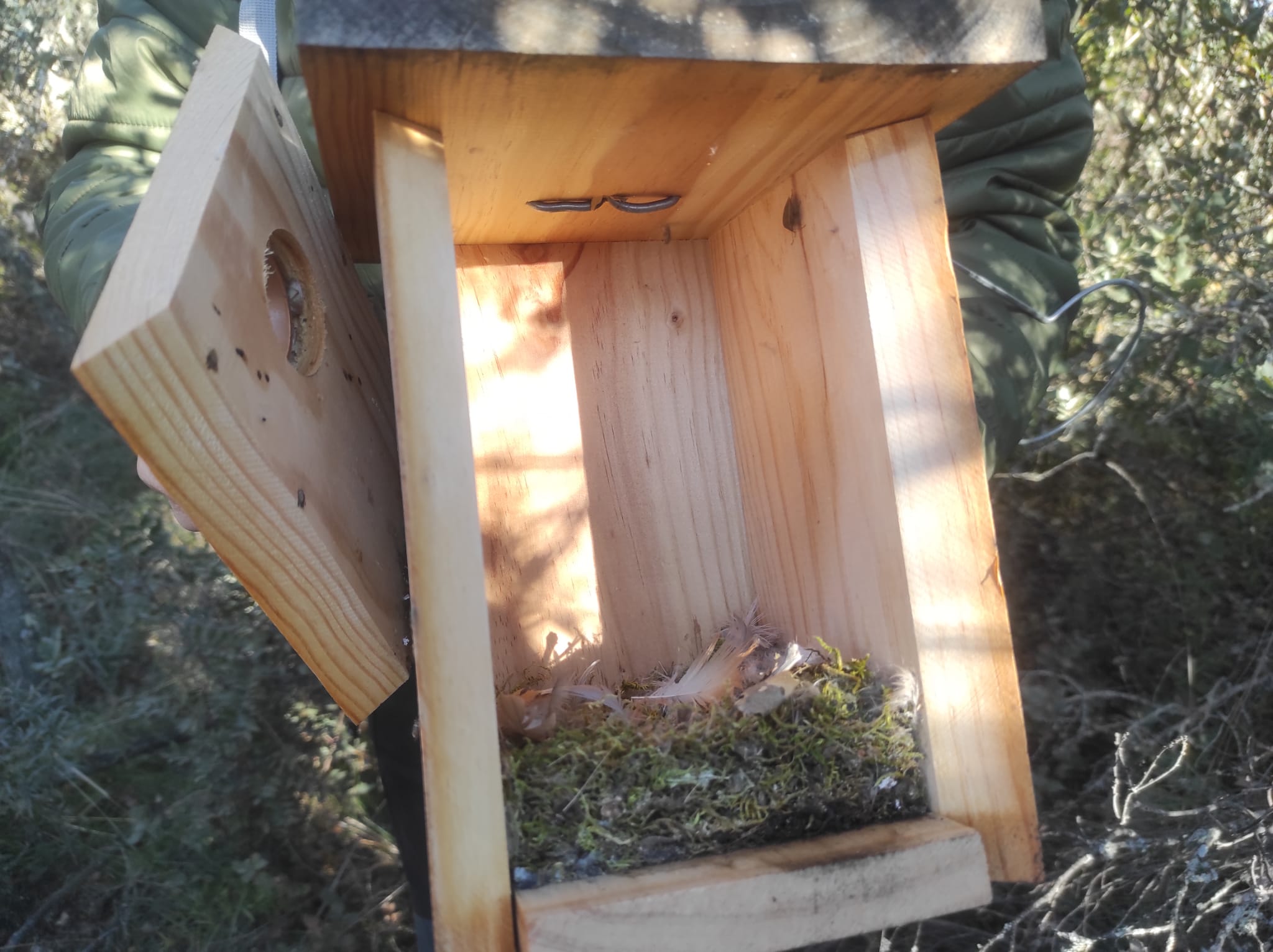 Alta ocupación de las cajas nido para insectívoros en la finca La Nava del Conejo Alta ocupación de las cajas nido para insectívoros en la finca La Nava del Conejo