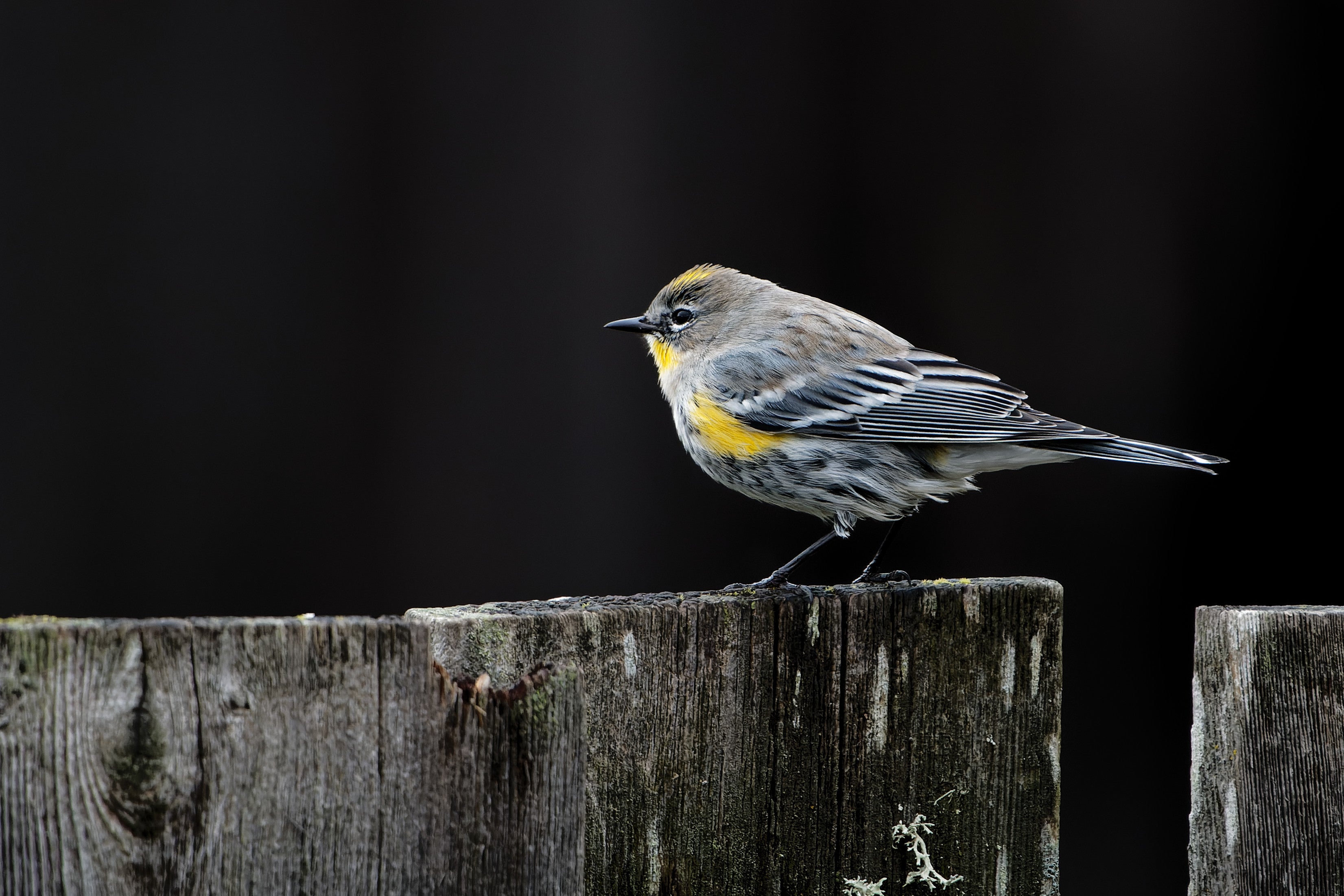 Más de Uno Ceuta 6/2/23 Más de Uno Ceuta 6/2/23