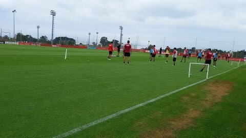 Entrenamiento