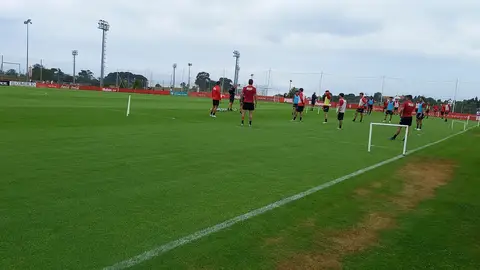 Entrenamiento Entrenamiento