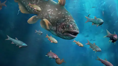 La fauna marina se recupero un millon de anos despues de la gran extincion La fauna marina se recupero un millon de anos despues de la gran extincion