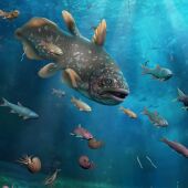 La fauna marina se recupero un millon de anos despues de la gran extincion