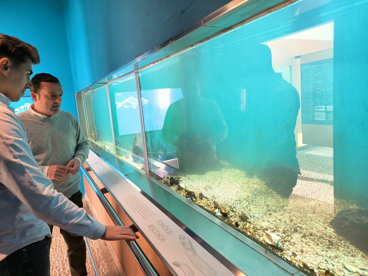 El Museo del Mar de Peñíscola recupera las cifras de visitantes de antes de la pandemia El Museo del Mar de Peñíscola recupera las cifras de visitantes de antes de la pandemia