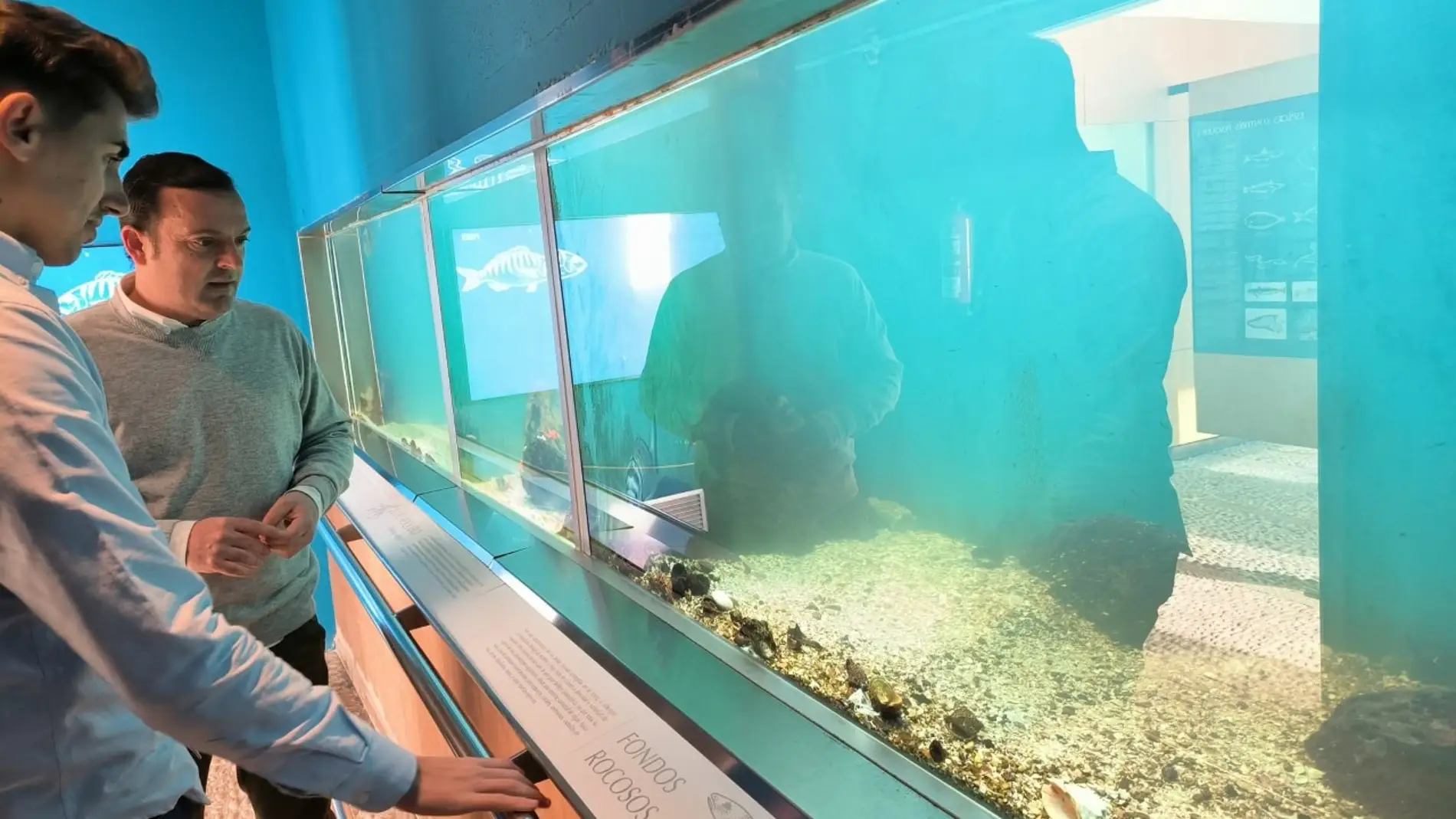 El Museo del Mar de Peñíscola recupera las cifras de visitantes de antes de la pandemia 