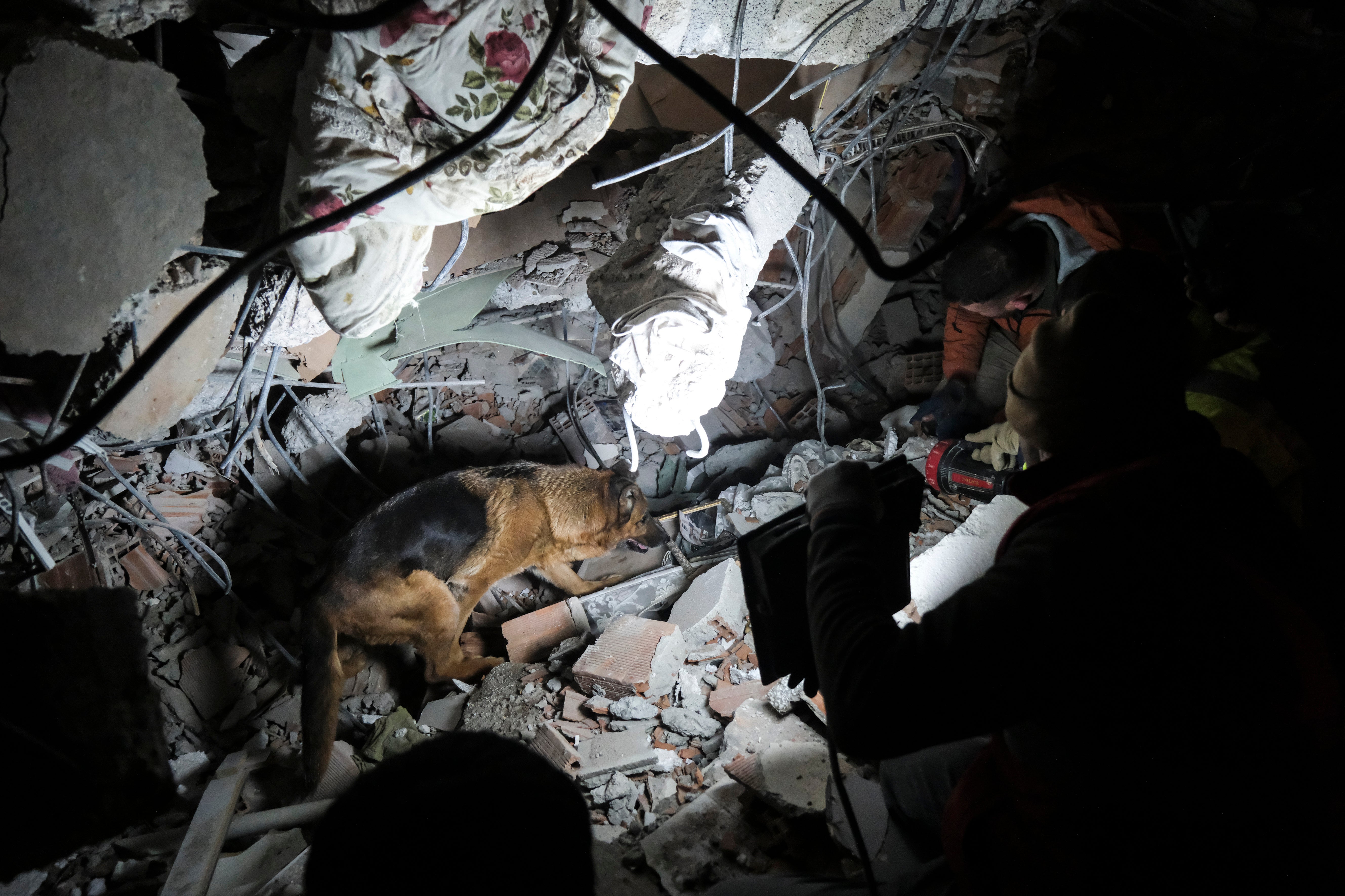 Así trabajan los perros de rescate españoles en catástrofes como la de Turquía Así trabajan los perros de rescate españoles en catástrofes como la de Turquía