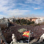 Vista panorámica de la manifestación en apoyo de la sanidad pública en Madrid