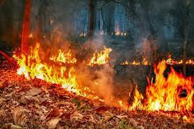 Más de Uno Cantabria 15/02/2023 Más de Uno Cantabria 15/02/2023