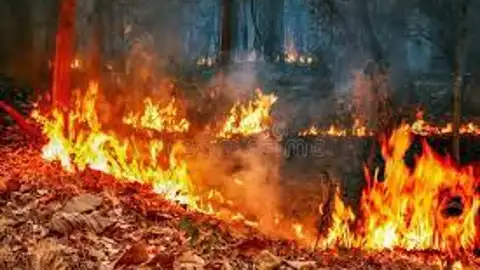 Casi 200 hectáreas quemadas en dos incendios estos últimos días en Galicia. Sin copyright Incendio