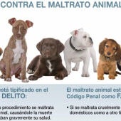 Analizamos la recién aprobada Ley de Protección Animal con el adiestrador canino Ángel Osuna 