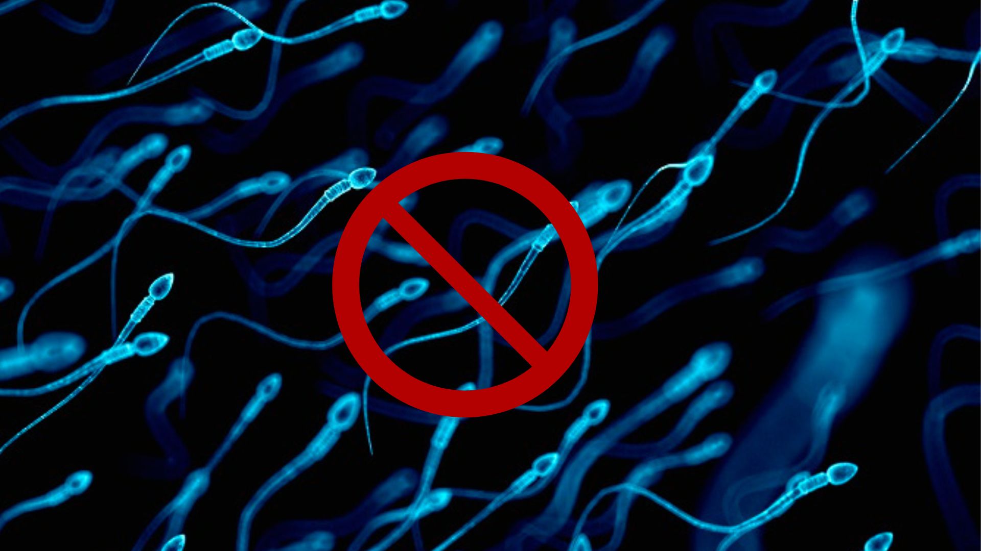 Inventan una píldora anticonceptiva para hombres que inutiliza el esperma durante unas horas Inventan una píldora anticonceptiva para hombres que inutiliza el esperma durante unas horas