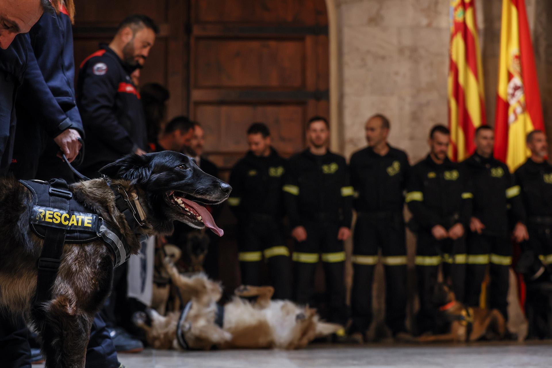 Bomberos y perros vuelven de Turquía tras rescatar a tres personas con vida: "Eres su última esperanza" Bomberos y perros vuelven de Turquía tras rescatar a tres personas con vida: "Eres su última esperanza"