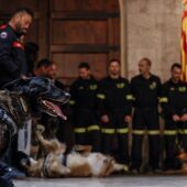 El 'president' de la Generalitat Valenciana, Ximo Puig, recibe a bomberos desplazados a tareas de rescate en el terremoto de Turquía - 
