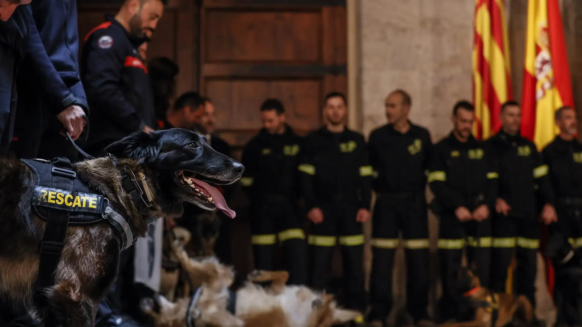 El 'president' de la Generalitat Valenciana, Ximo Puig, recibe a bomberos desplazados a tareas de rescate en el terremoto de Turquía - 