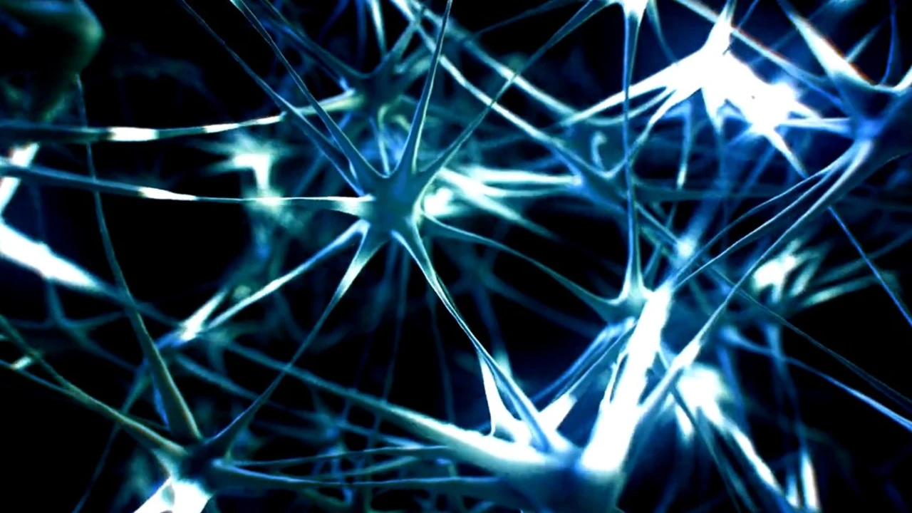 Descubren un mecanismo que usan las neuronas del cerebro para repararse.