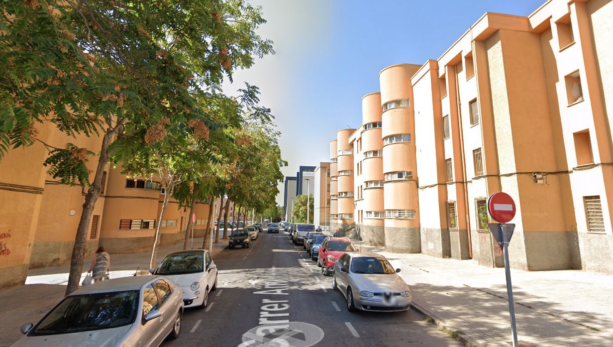 La Policía Nacional despliega un amplio operativo antidroga en el barrio Los Palmerales de Elche La Policía Nacional despliega un amplio operativo antidroga en el barrio Los Palmerales de Elche