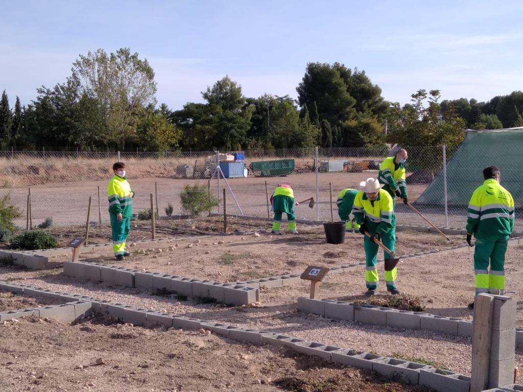 Fundación ASLA te enseña a cultivar tu huerto desde cero Fundación ASLA te enseña a cultivar tu huerto desde cero