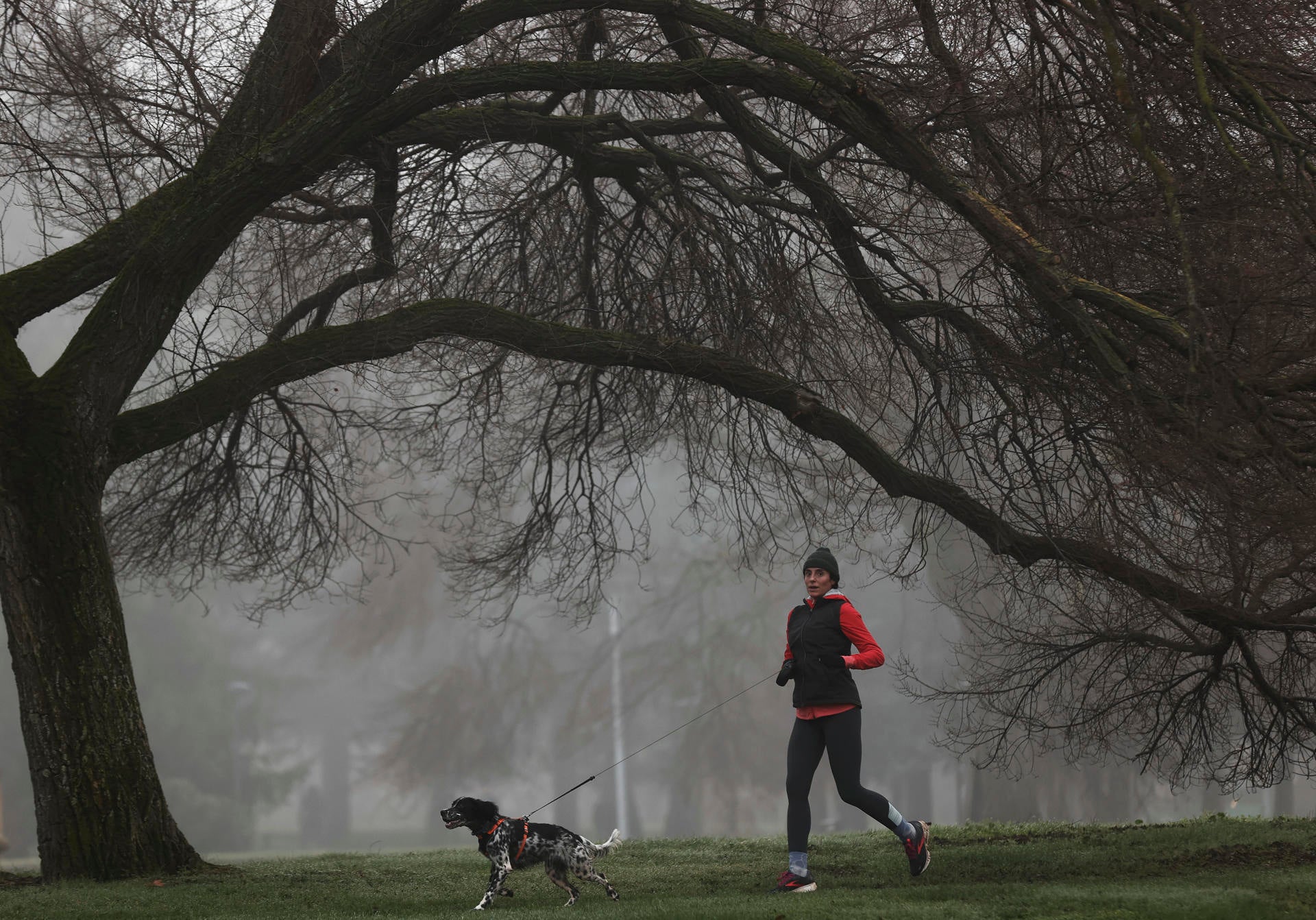El invierno no ha dicho su última palabra El invierno no ha dicho su última palabra