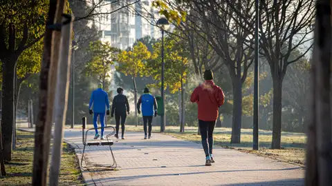 Varias personas hacen deporte en un parque de Logroño. Varias personas hacen deporte en un parque de Logroño.