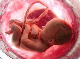 El Servicio Andaluz de Salud indemniza a unos padres por la muerte de su bebé El Servicio Andaluz de Salud indemniza a unos padres por la muerte de su bebé