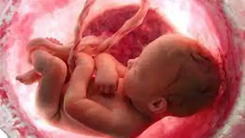 El Servicio Andaluz de Salud indemniza a unos padres por la muerte de su bebé El Servicio Andaluz de Salud indemniza a unos padres por la muerte de su bebé