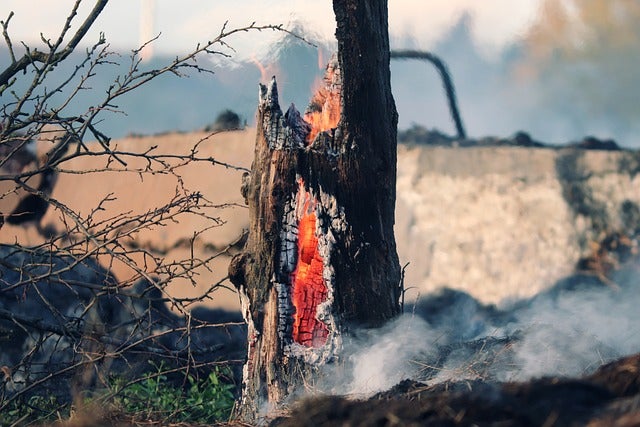 Ecofire: la solución definitiva a la extinción y prevención de incendios Ecofire: la solución definitiva a la extinción y prevención de incendios