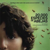 " 20 mil especies de abejas"