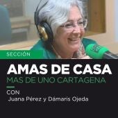 Amas de Casa, Juana Pérez