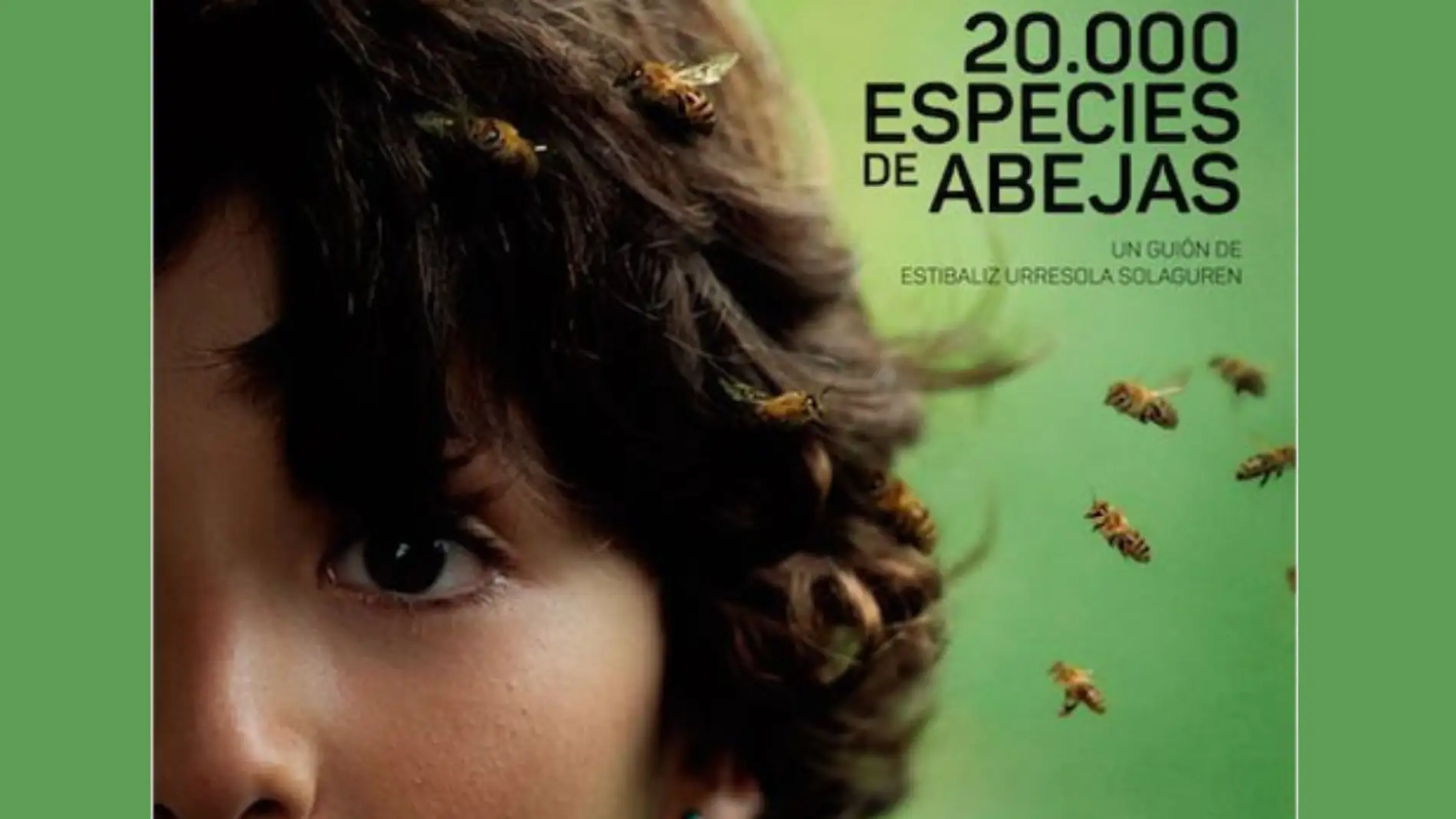 '20.000 especies de abejas'