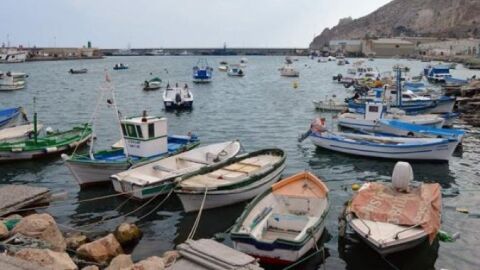pesca 
