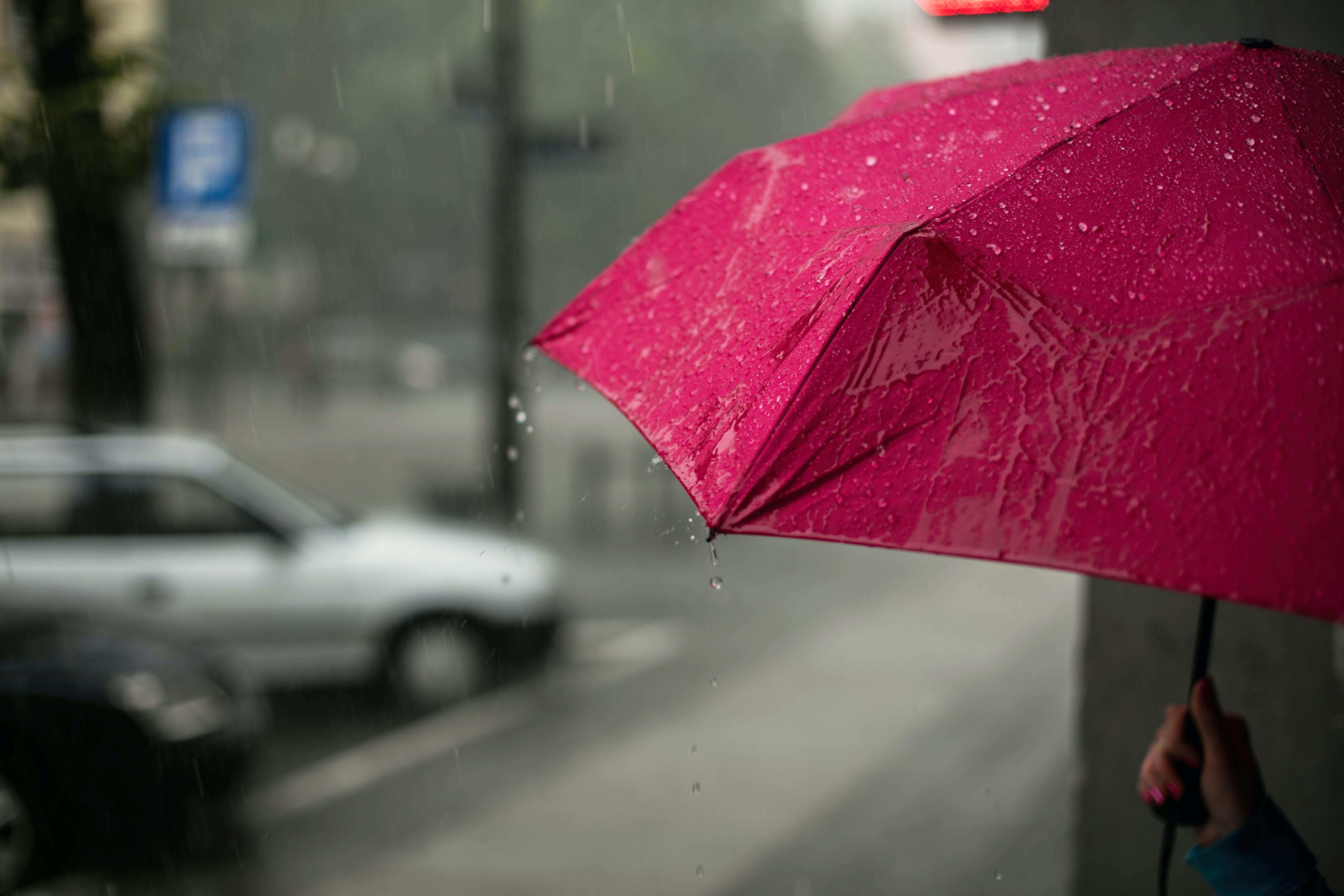 Vuelve el crudo invierno: la AEMET alerta de nevadas y heladas generalizadas Vuelve el crudo invierno: la AEMET alerta de nevadas y heladas generalizadas