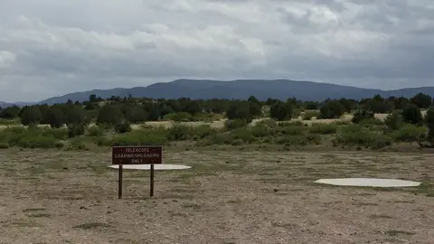 EEUU matará a 150 vacas y toros disparando desde helicópteros EEUU matará a 150 vacas y toros disparando desde helicópteros