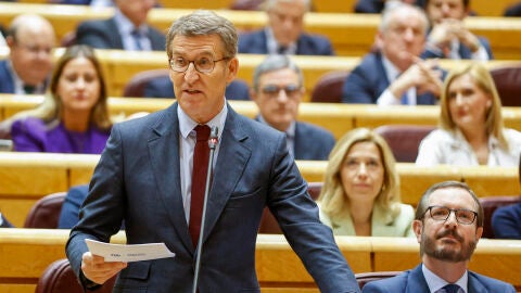 Alberto N&uacute;&ntilde;ez Feij&oacute;o en el Senado