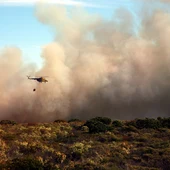 Emergencias Orihuela y Protección Civil eleva a Pleno el Plan Local de Prevención de Incendios Forestales Emergencias Orihuela y Protección Civil eleva a Pleno el Plan Local de Prevención de Incendios Forestales