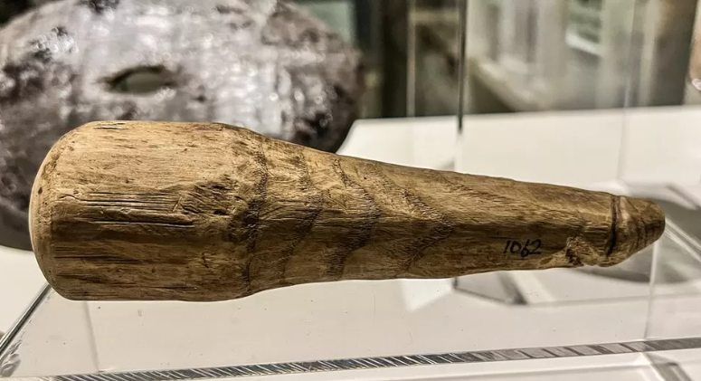 Descubren un juguete sexual de 2.000 años de antigüedad que podría ser el primer consolador romano Descubren un juguete sexual de 2.000 años de antigüedad que podría ser el primer consolador romano