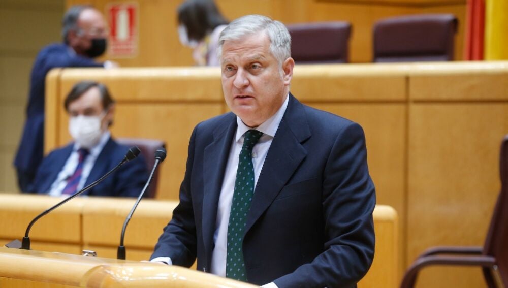 Cañizares en el Senado