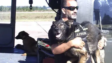 K9 K9