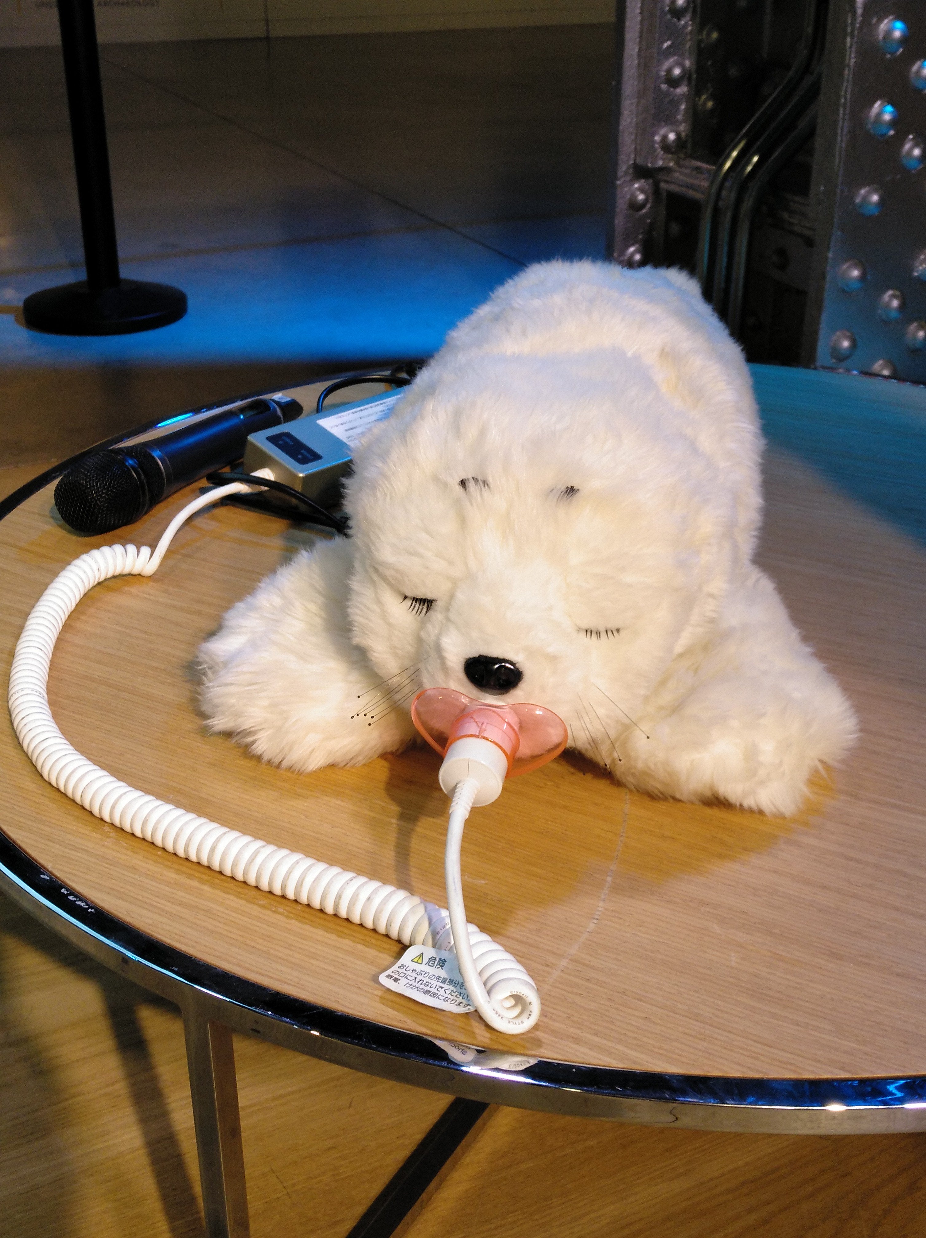 Un robot foca podría aliviar la depresión en los pacientes con demencia Un robot foca podría aliviar la depresión en los pacientes con demencia