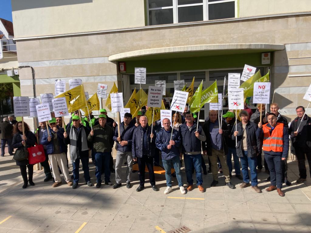 Las entidades agrarias reclaman que no se eliminen coberturas del seguro de cítricos Las entidades agrarias reclaman que no se eliminen coberturas del seguro de cítricos