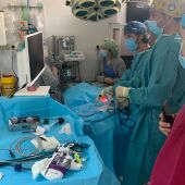 El equipo veterinario de Anagavets y Vetmi durante una intervención por laparoscopia a un gato