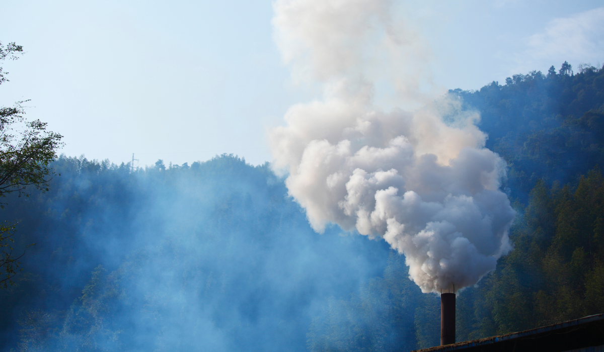 Ecologistas piden explicaciones al Principado ante la elevada contaminación que se registra en Somiedo Ecologistas piden explicaciones al Principado ante la elevada contaminación que se registra en Somiedo