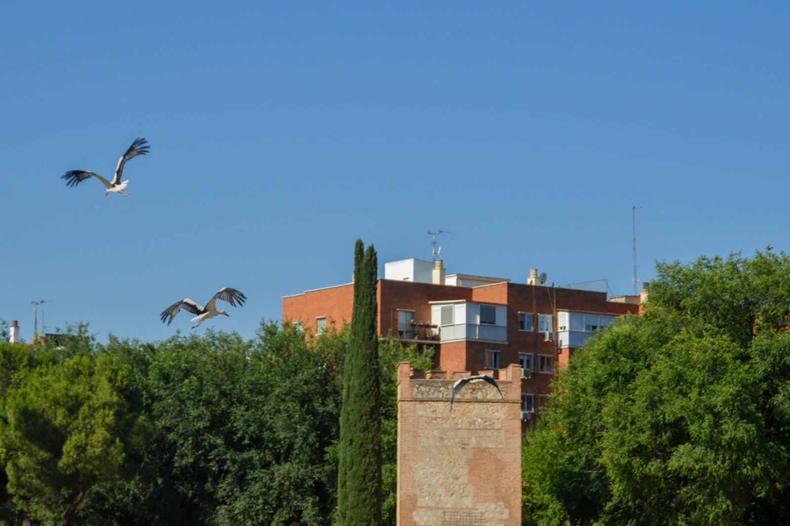 Más de uno Alcalá 06/03/2023 Más de uno Alcalá 06/03/2023