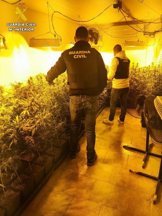 Cuatro detenidos en una operación antidroga en Santa Cruz de Mudela Cuatro detenidos en una operación antidroga en Santa Cruz de Mudela